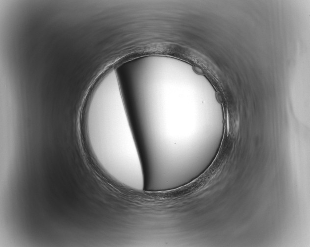 X0000098190483200804241054