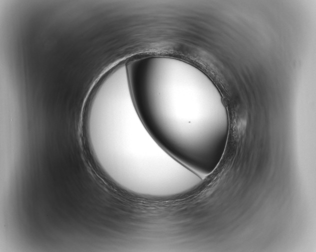 X0000098190484200804241054