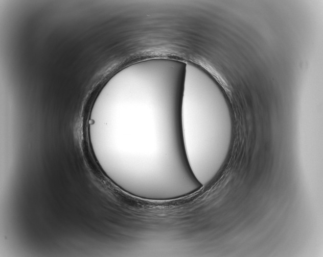X0000098190486200804241054