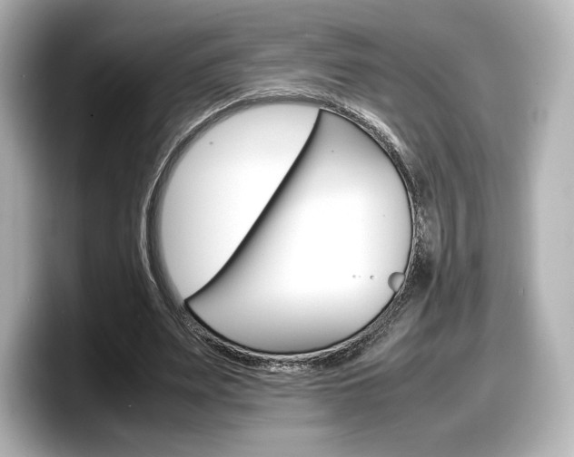 X0000098190487200804241054