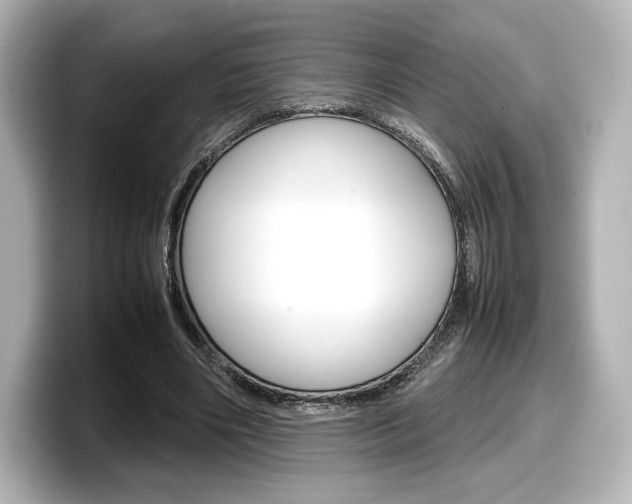 X0000098190490200804241054