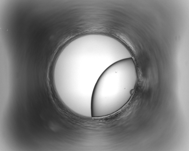 X0000098190491200804241054