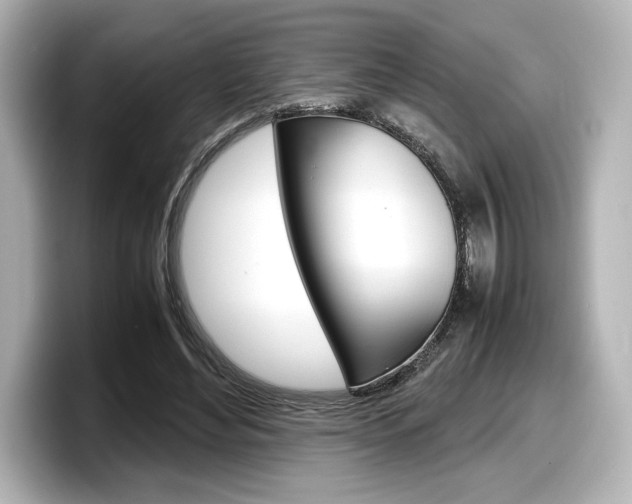 X0000098190492200804241054