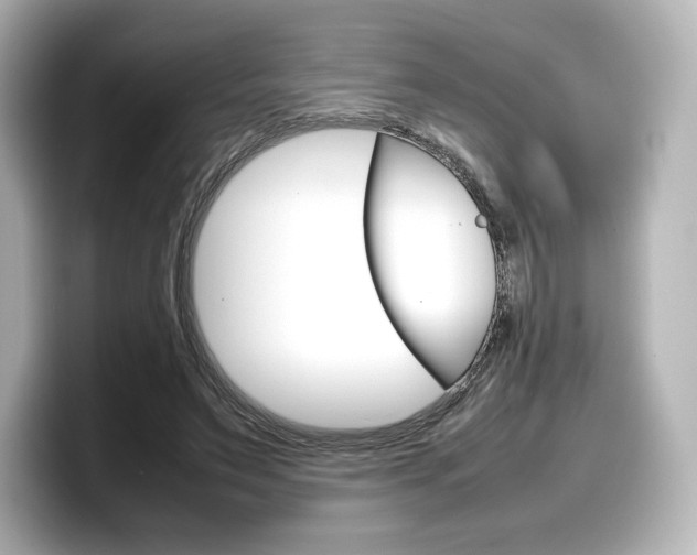 X0000098190495200804241054