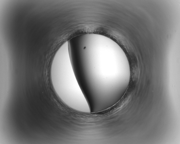 X0000098190497200804241054
