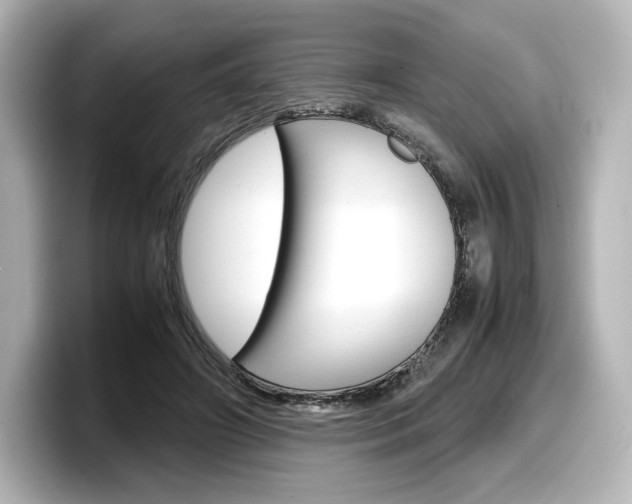 X0000098190498200804241054