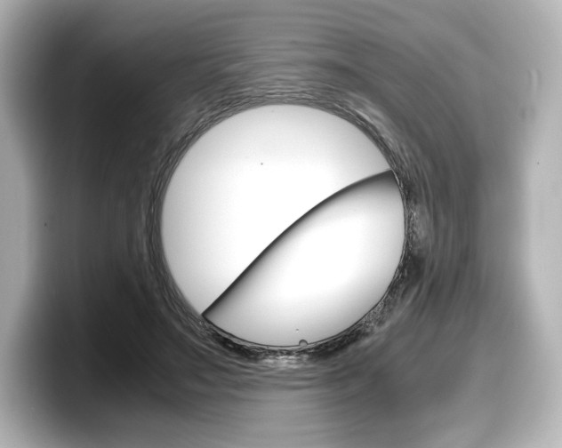 X0000098190499200804241054