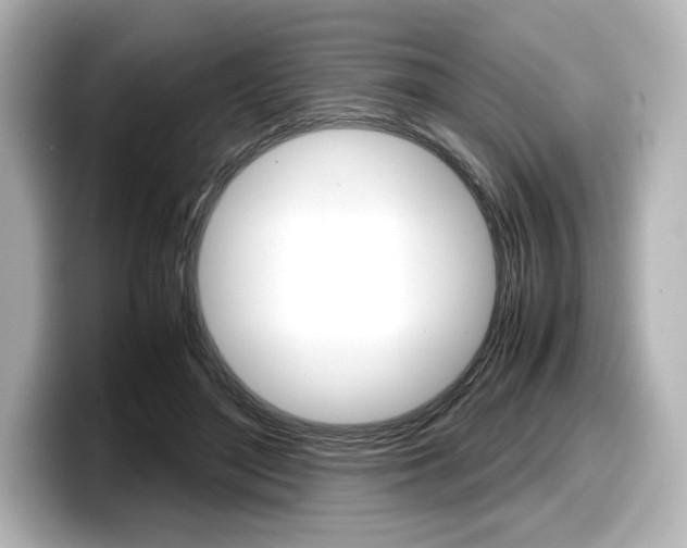 X0000098190500200804241054