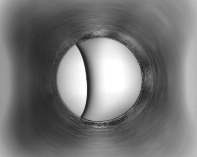 X0000098190502200804241054