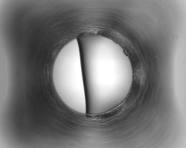 X0000098190504200804241054