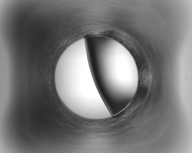 X0000098190505200804241054