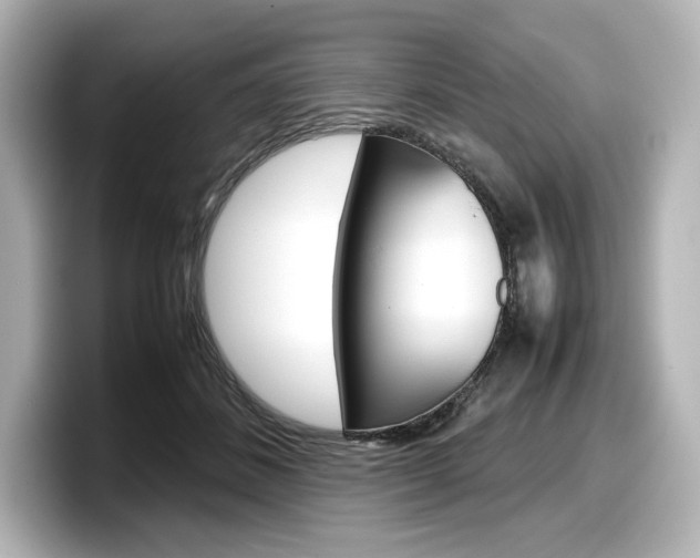 X0000098190508200804241054