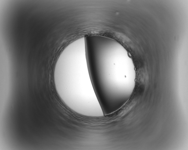 X0000098190509200804241054