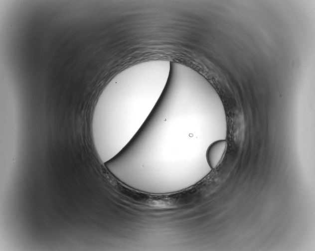 X0000098190510200804241054