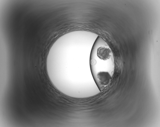 X0000098190511200804241054