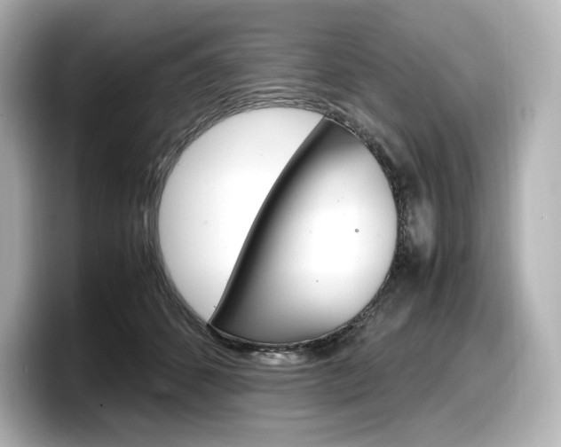 X0000098190512200804241054