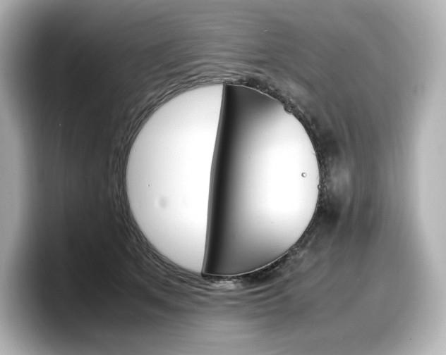 X0000098190513200804241054