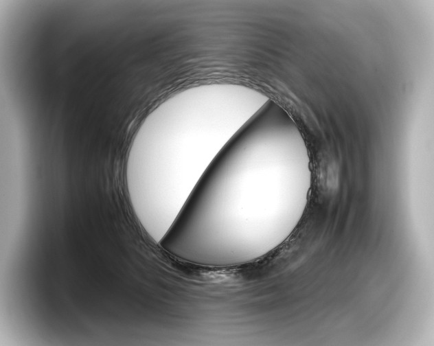 X0000098190516200804241054
