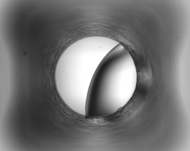 X0000098190517200804241054