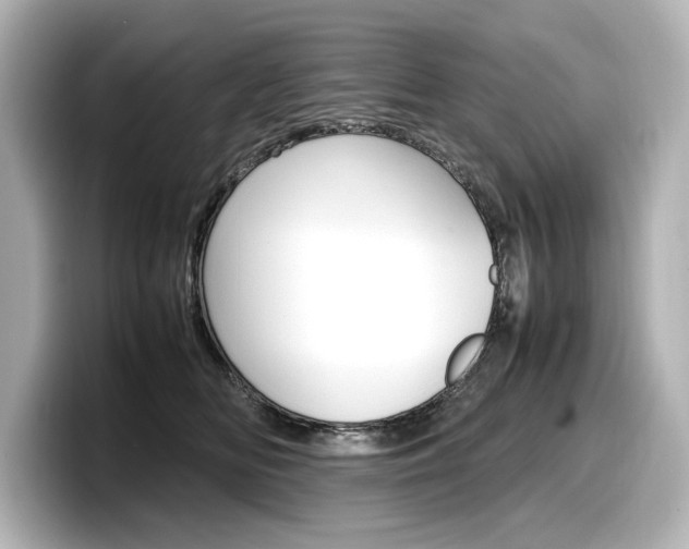 X0000098190518200804241054