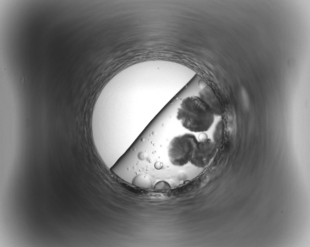 X0000098190519200804241053