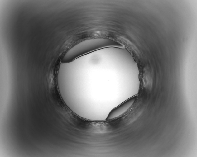 X0000098190520200804241053
