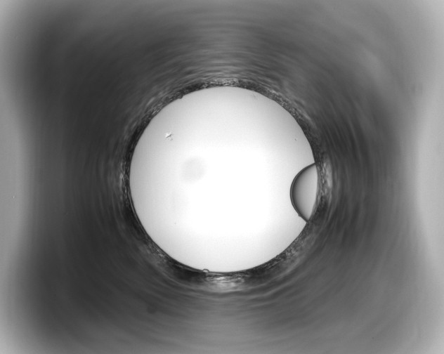 X0000098190522200804241053