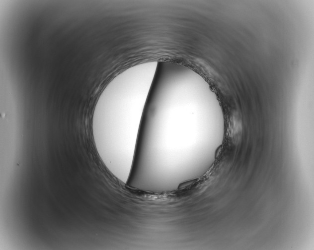 X0000098190524200804241053