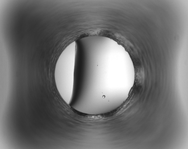 X0000098190525200804241053