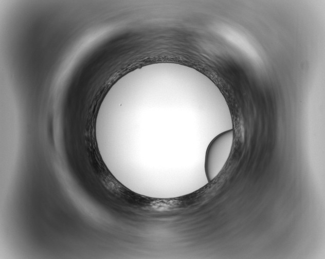 X0000098190526200804241053