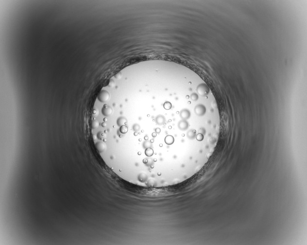 X0000098190527200804241053