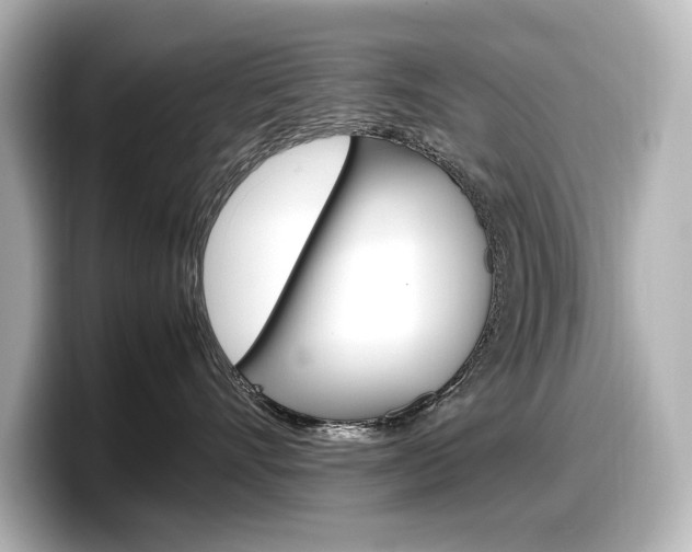 X0000098190528200804241053