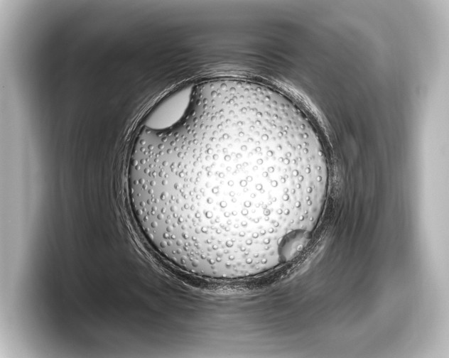 X0000098190529200804241053