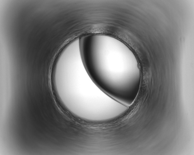 X0000098190530200804241053