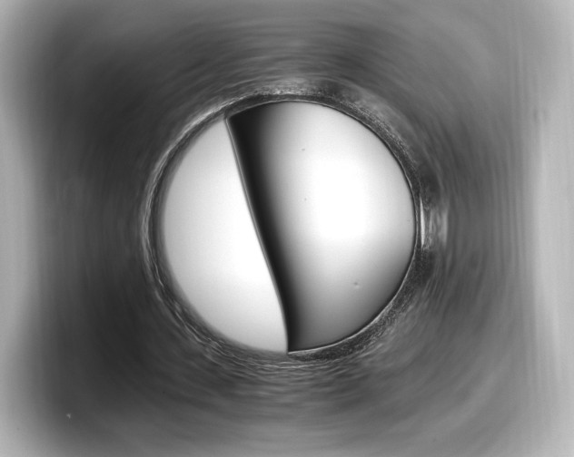 X0000098190531200804241053