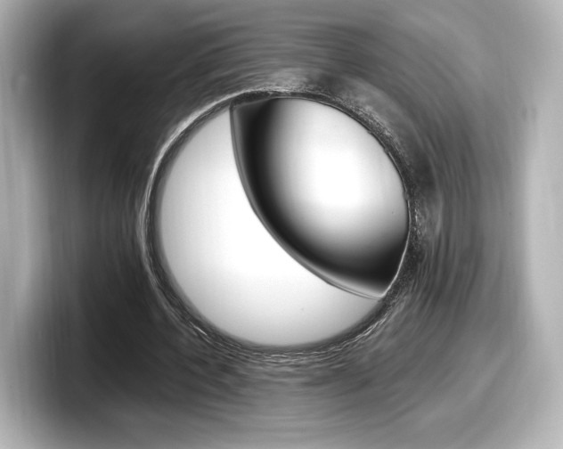 X0000098190532200804241053