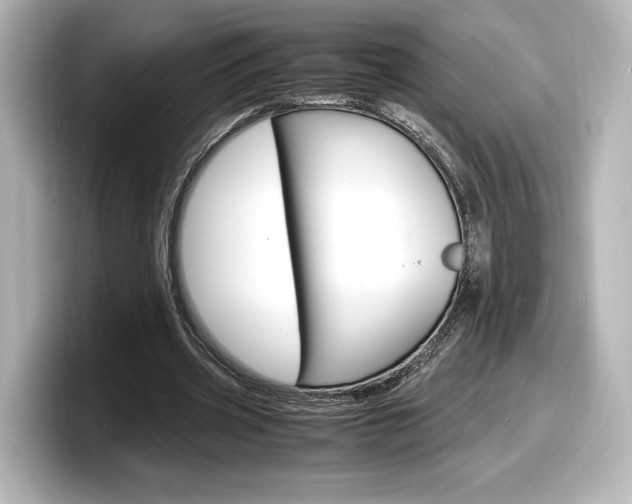 X0000098190533200804241053