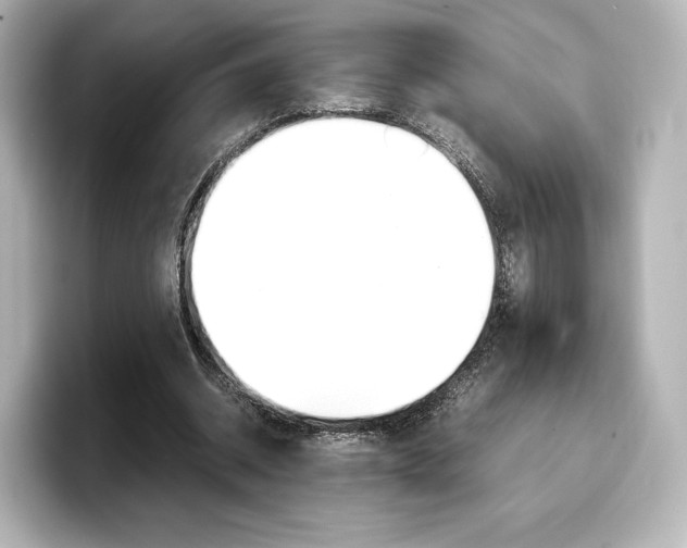 X0000098190534200804241053
