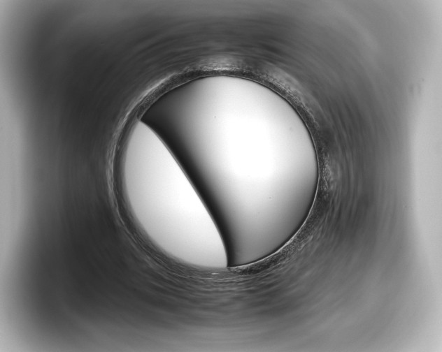 X0000098190535200804241053