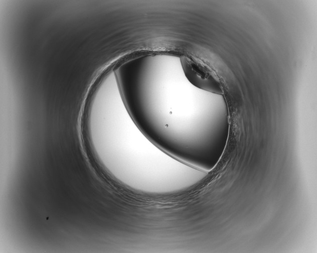 X0000098190536200804241053