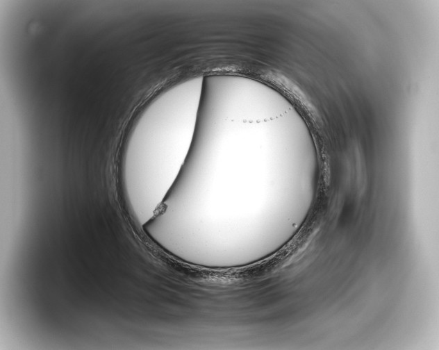 X0000098190537200804241053