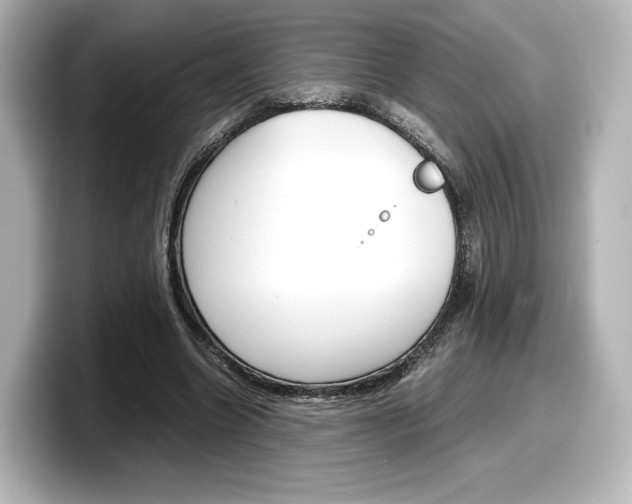 X0000098190538200804241053