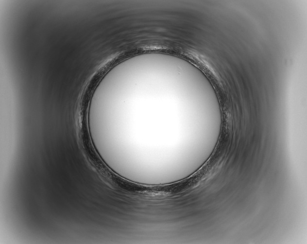 X0000098190539200804241053
