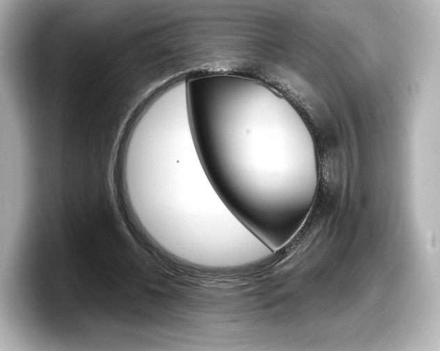 X0000098190540200804241053