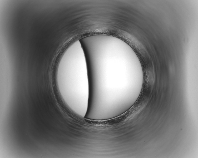 X0000098190542200804241053