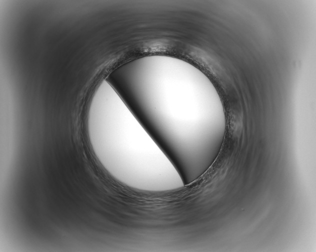 X0000098190543200804241053