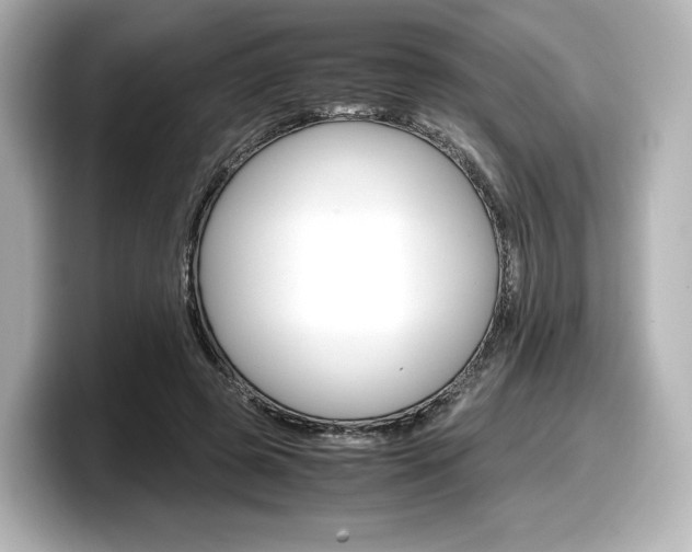 X0000098190545200804241053
