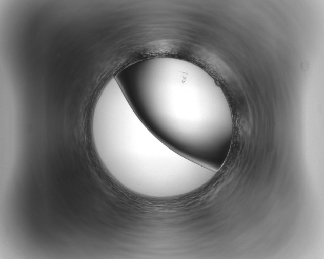 X0000098190546200804241053