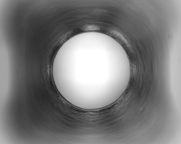 X0000098190549200804241053