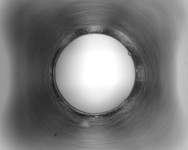 X0000098190550200804241053